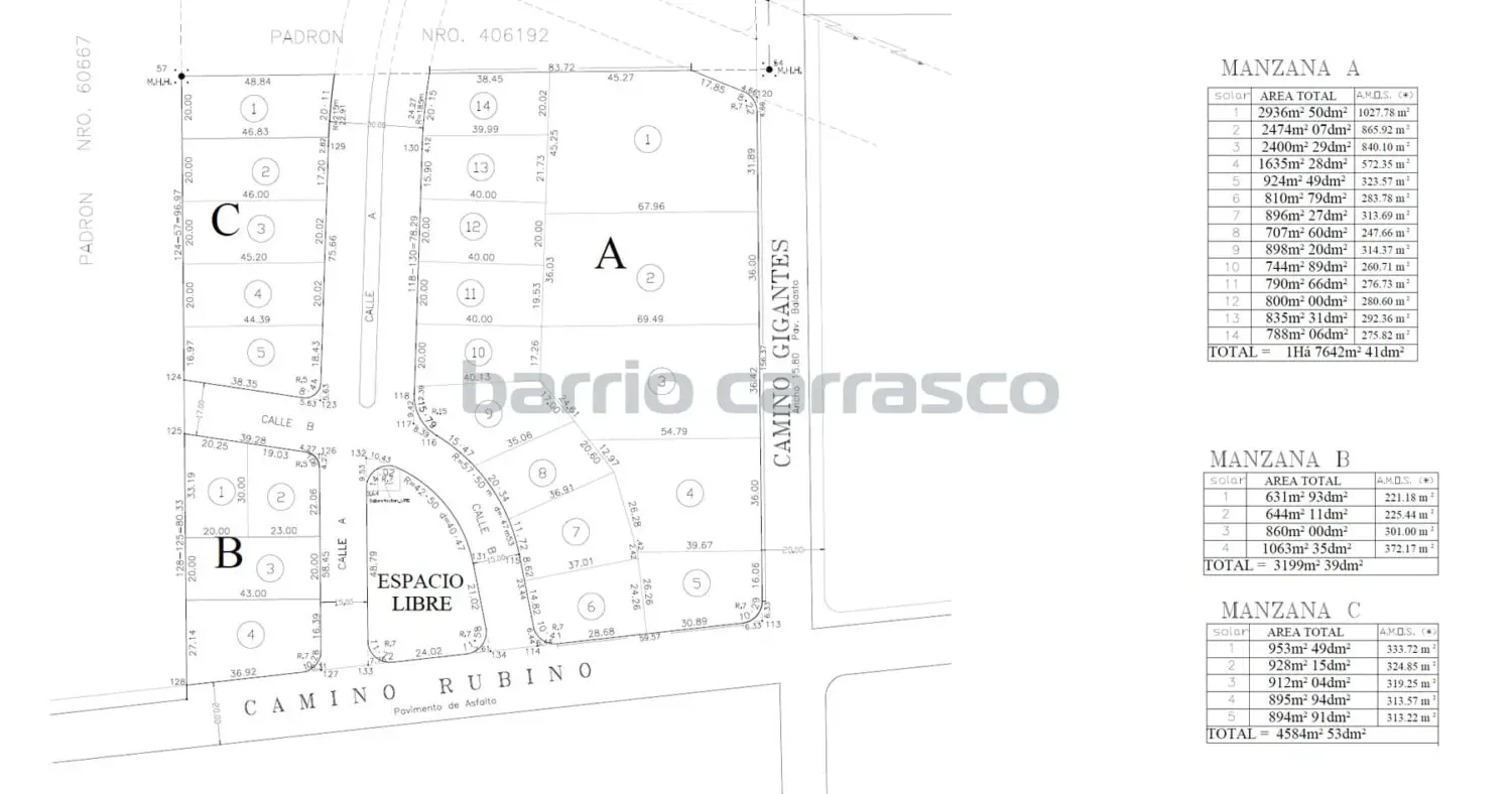 Ombúes Plano